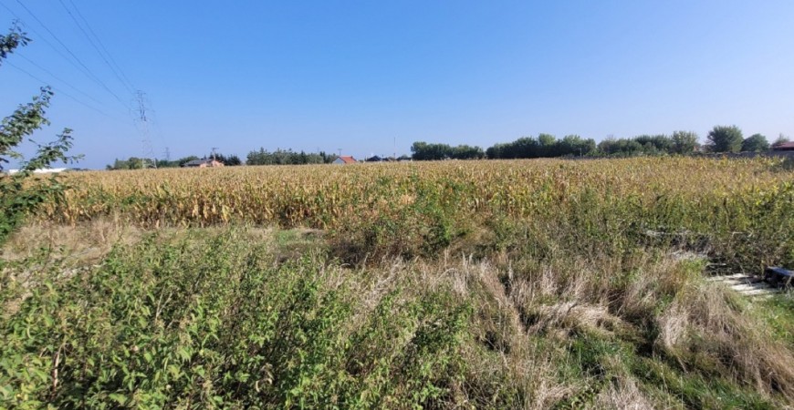 20250909_100017_resized