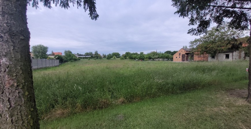 20250528_092838_resized