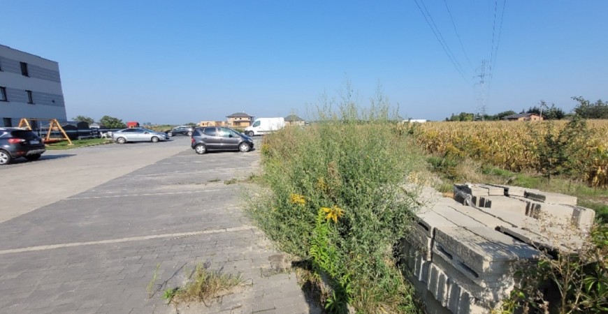 20250909_100047_resized