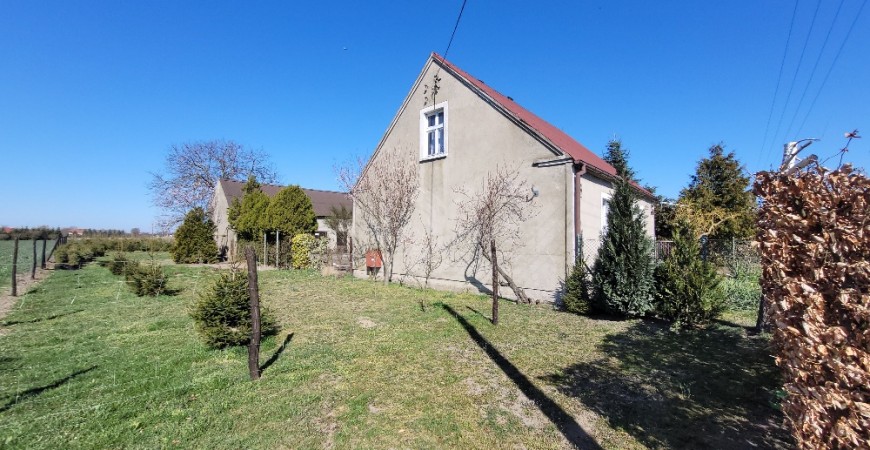 20250403_111111_resized